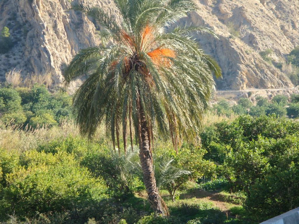 Casica De Perintin Cottage Ricote المظهر الخارجي الصورة
