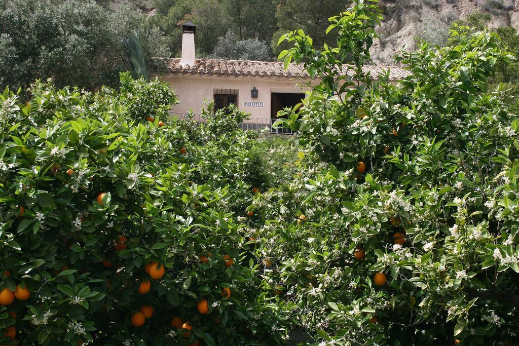 Casica De Perintin Cottage Ricote المظهر الخارجي الصورة
